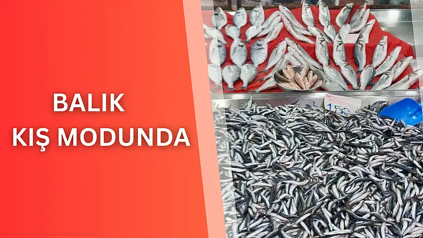 Balık kış modunda