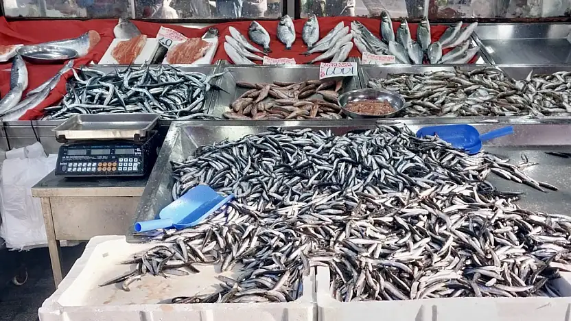 Denizden balık fışkırıyor