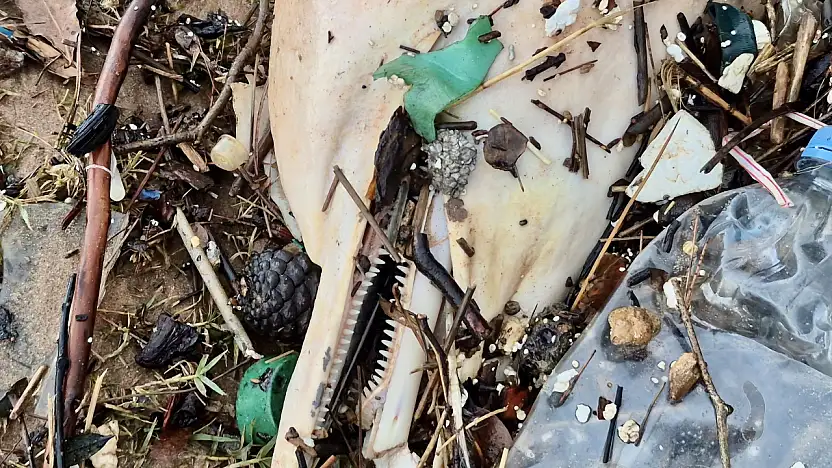 Ölüsü kıyıya vurdu