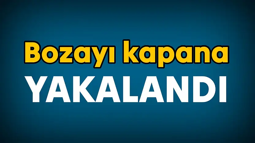 Ekipler seferber oldu