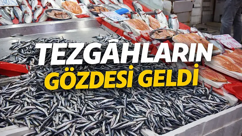 Ereğli'den geldi, tezgâh şenlendi