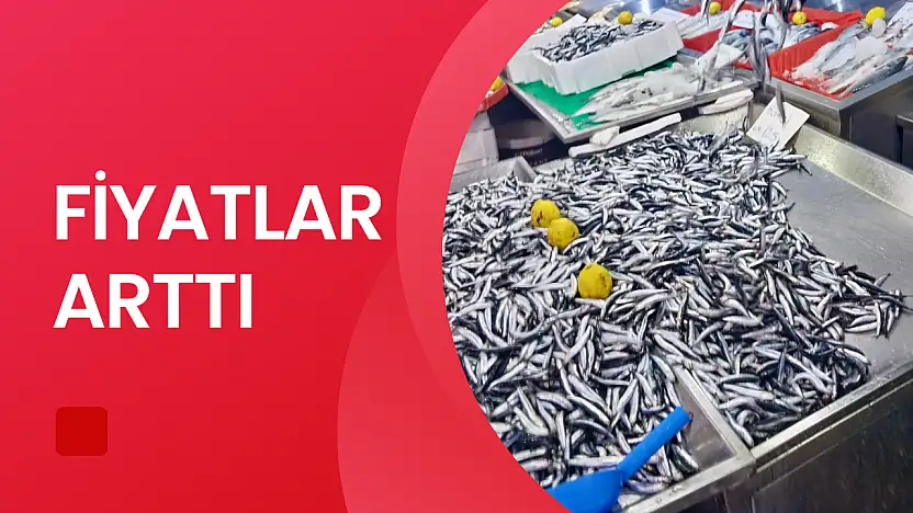 Hava bozdu, balık azaldı