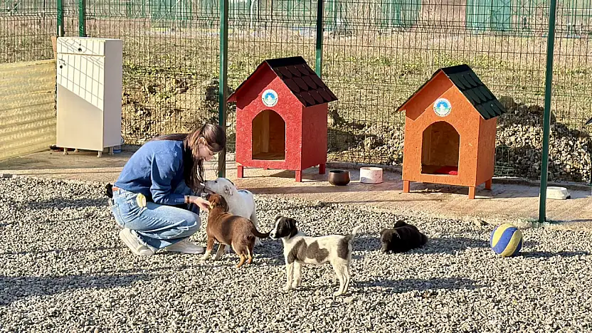 Hayvan Doğal Yaşam Alanı kuruldu