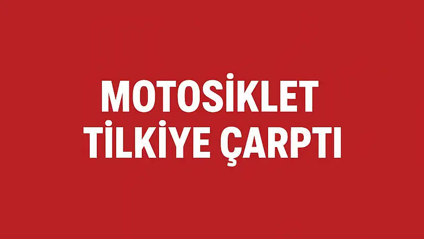 Motosiklet tilkiye çarptı