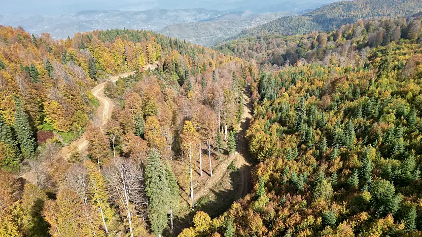 Yaylalarda sonbahar güzelliği