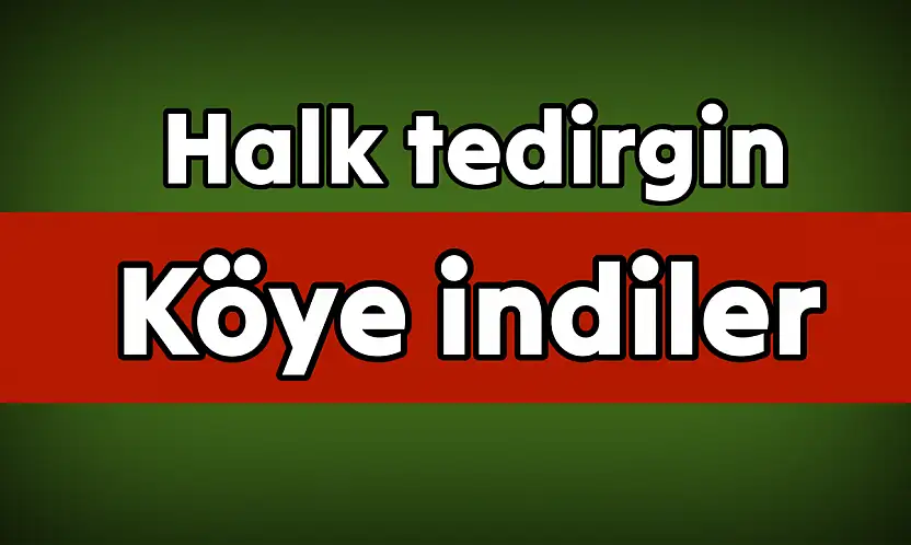 Amasra'da 3 Ayı Köye İndi!