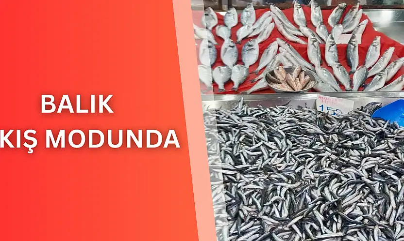 Balık kış modunda