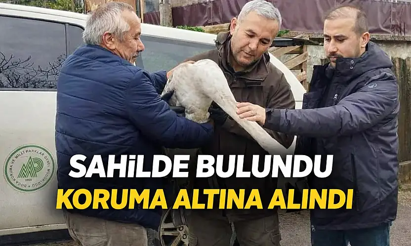 Bartın'da duyarlı müdahale