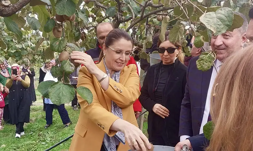 Bartın'da hasat heyecanı