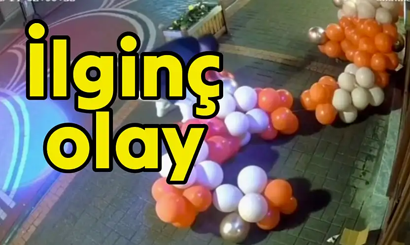 Bartın'da ilginç olay