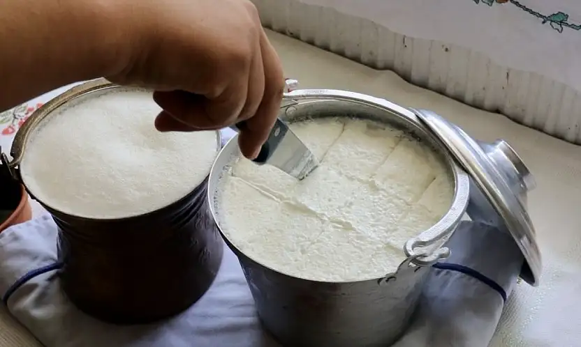 Bartın'ın meşhur yoğurdu artık tescillendi