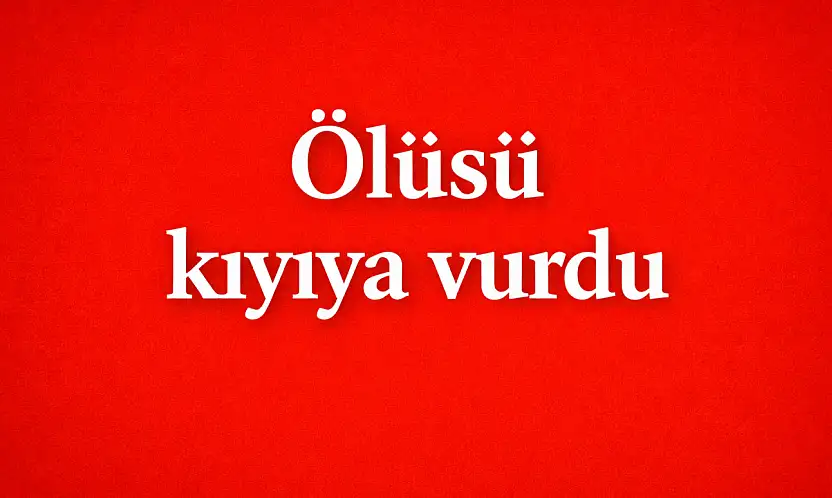 Dev dalgalar, kıyıya sürükledi