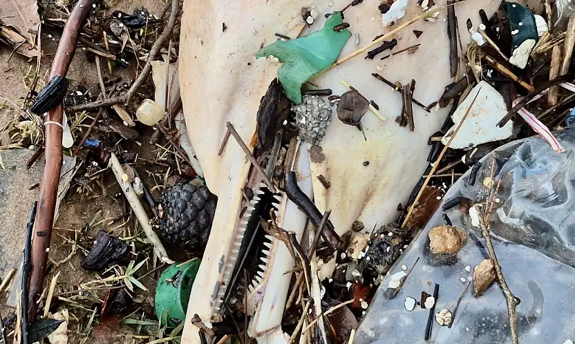 Ölüsü kıyıya vurdu