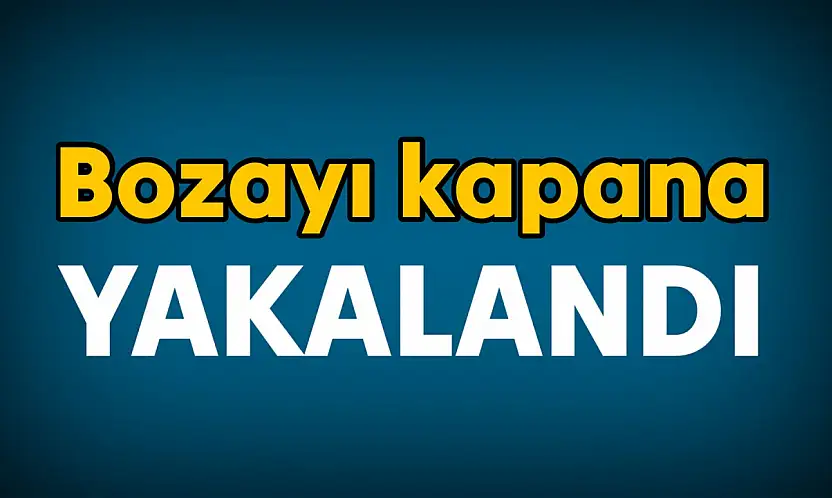 Ekipler seferber oldu