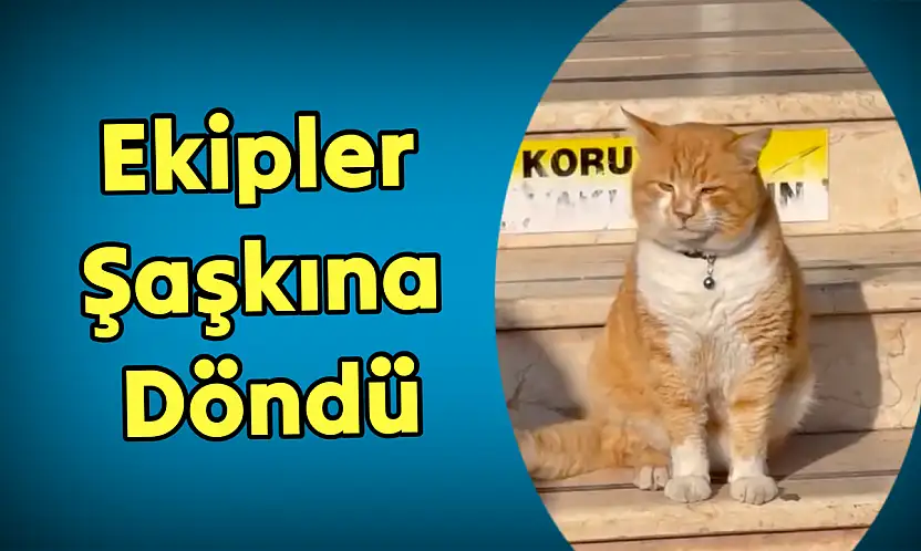 Ekipleri şaşkına çeviren olay