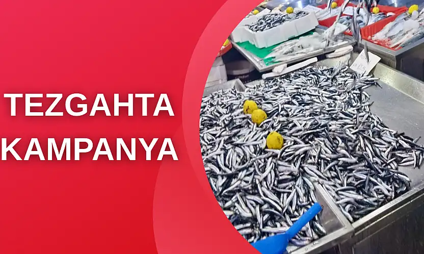 Hamsi bugün kampanyalı