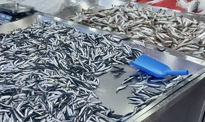 Hamsiye mezgite doyacaksınız