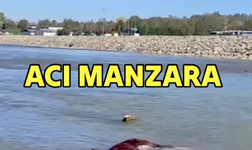 Irmakta acı manzara!