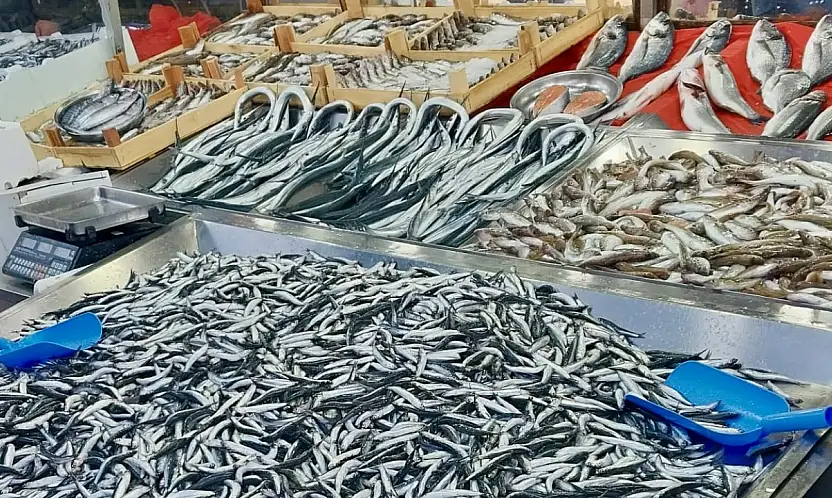 Mezgit kayığa çıkmıyor