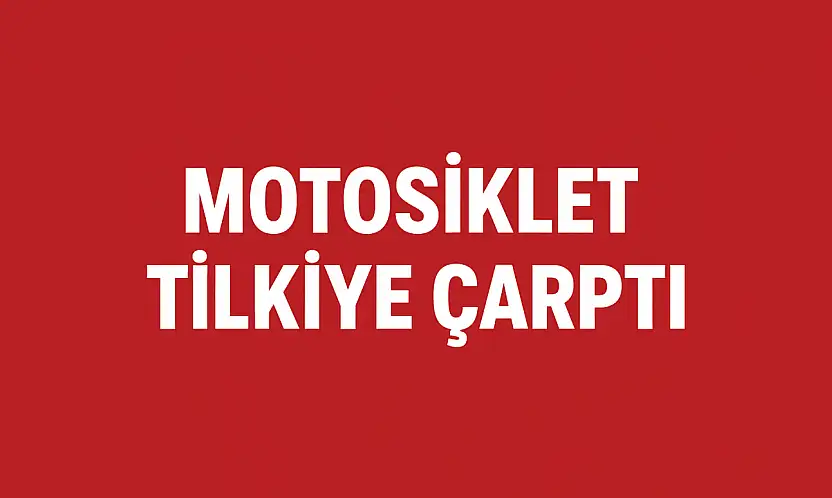 Motosiklet tilkiye çarptı