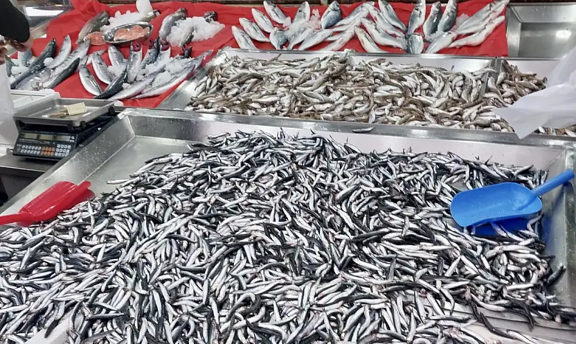 Palamut fiyatıyla fark attı