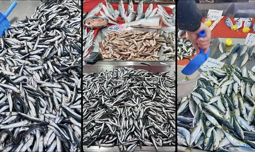 Tezgahlar tekrar şenlendi