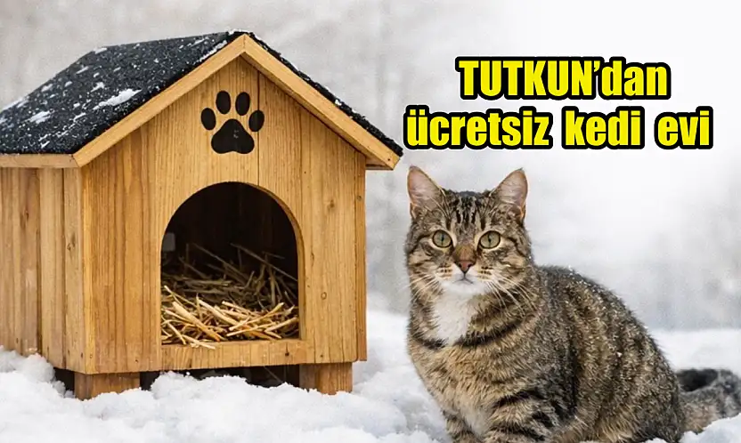 Tutkun'dan kediler için ücretsiz ev