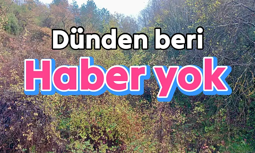 Yaşlı kadın ormanda aranıyor