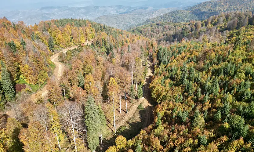 Yaylalarda sonbahar güzelliği