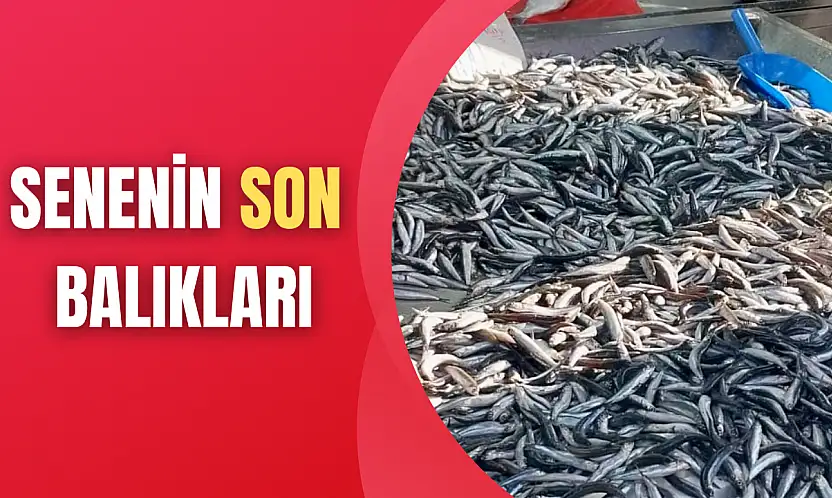 Yılın son balıkları satışta