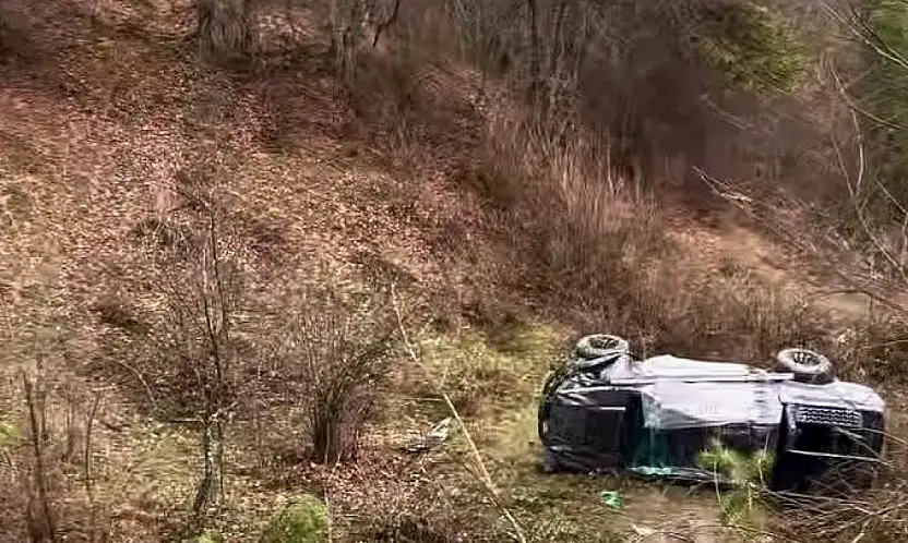 Yoğun siste şarampole yuvarlandı