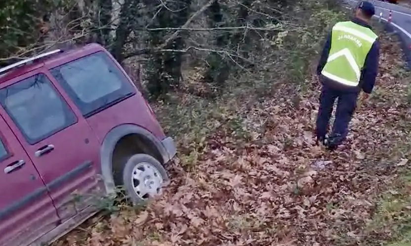 Yoldan çıktı, ağaca çarptı