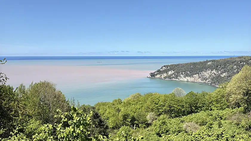 Karadeniz kahverengiye büründü