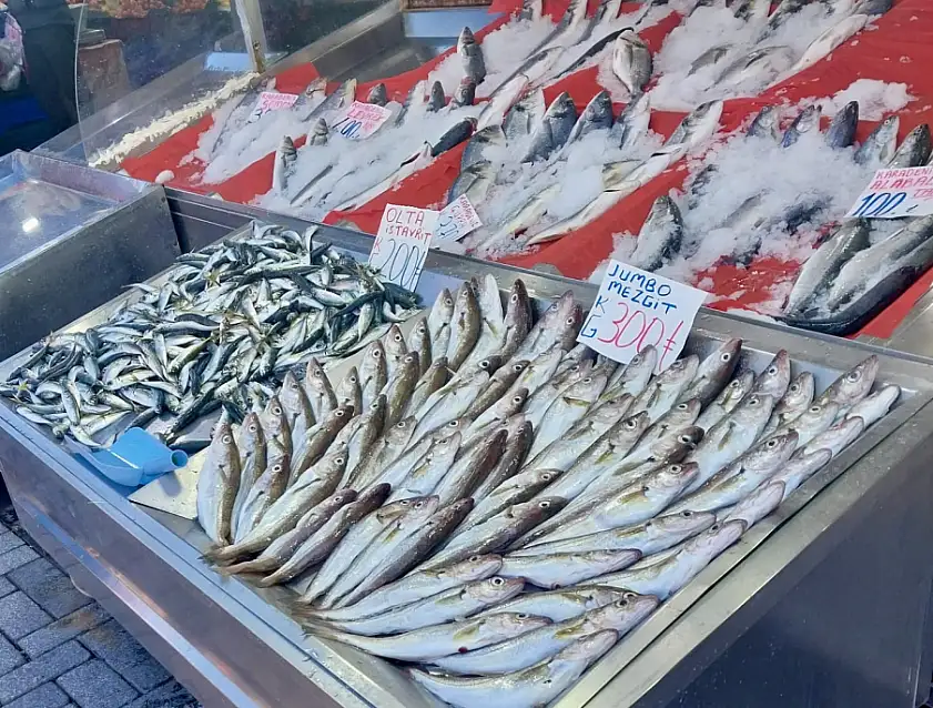 Balıklar oltaya geldi