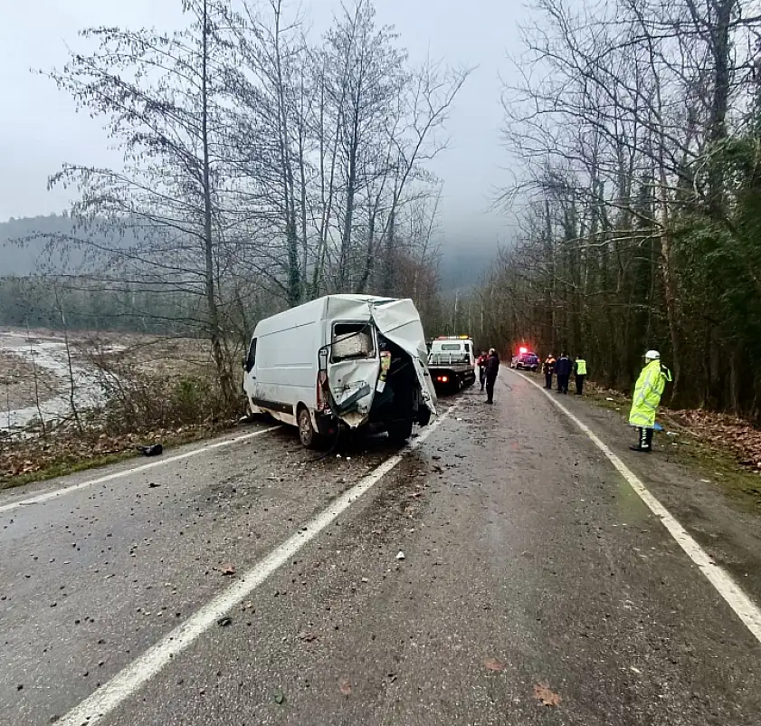 Yola çıkan hayvan kaza yaptırdı