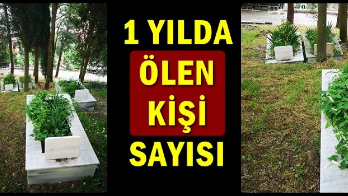 Bartın'da bir yılda kaç kişi rahmetli oldu