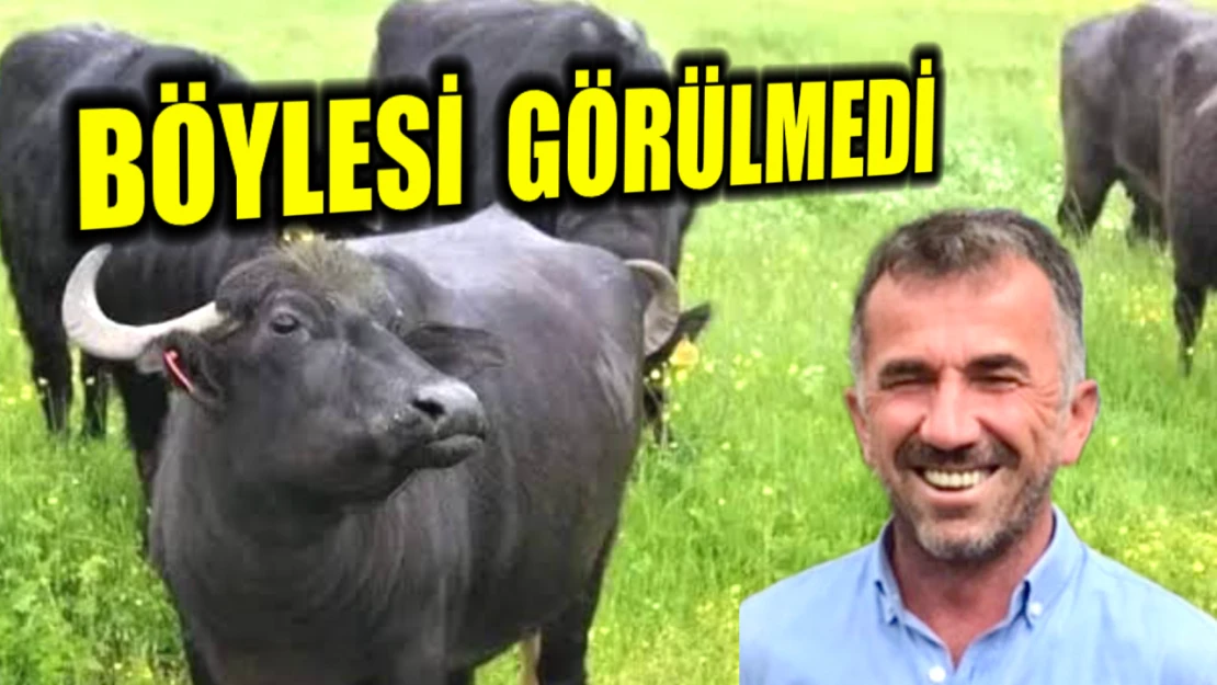 Bartın'da görülmemiş olay