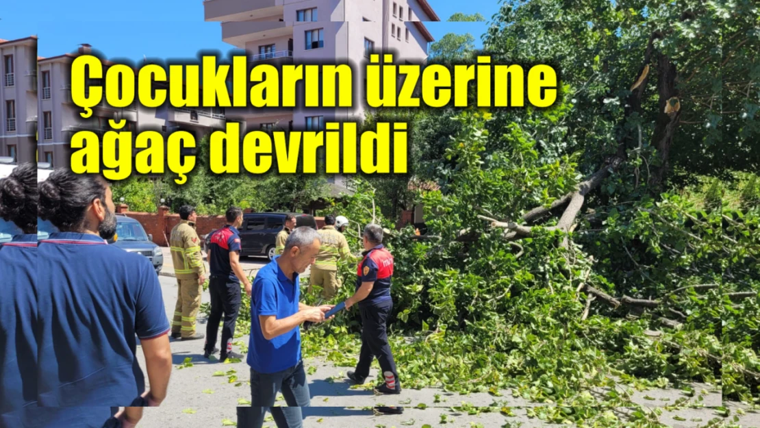 Çocukların üzerine ağaç devrildi