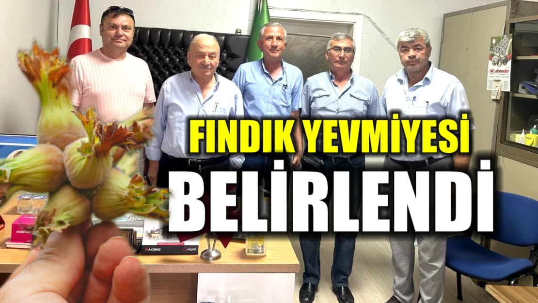 Fındık toplama yevmiyesi belirlendi