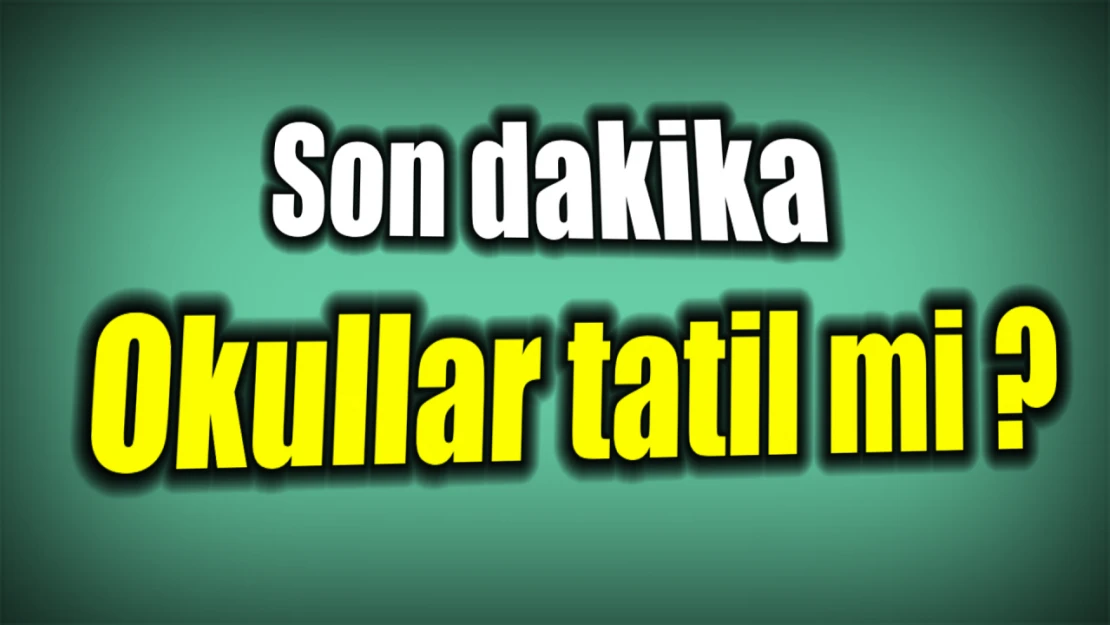 Son dakika tatil kararı