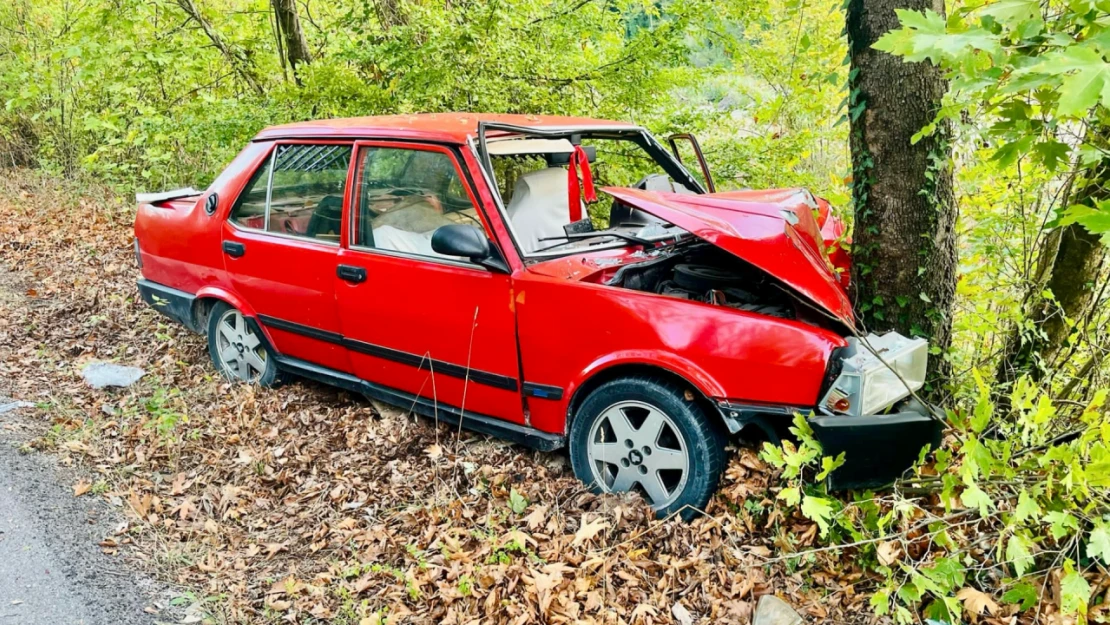 Yoldan çıkan otomobil ağaca çarptı