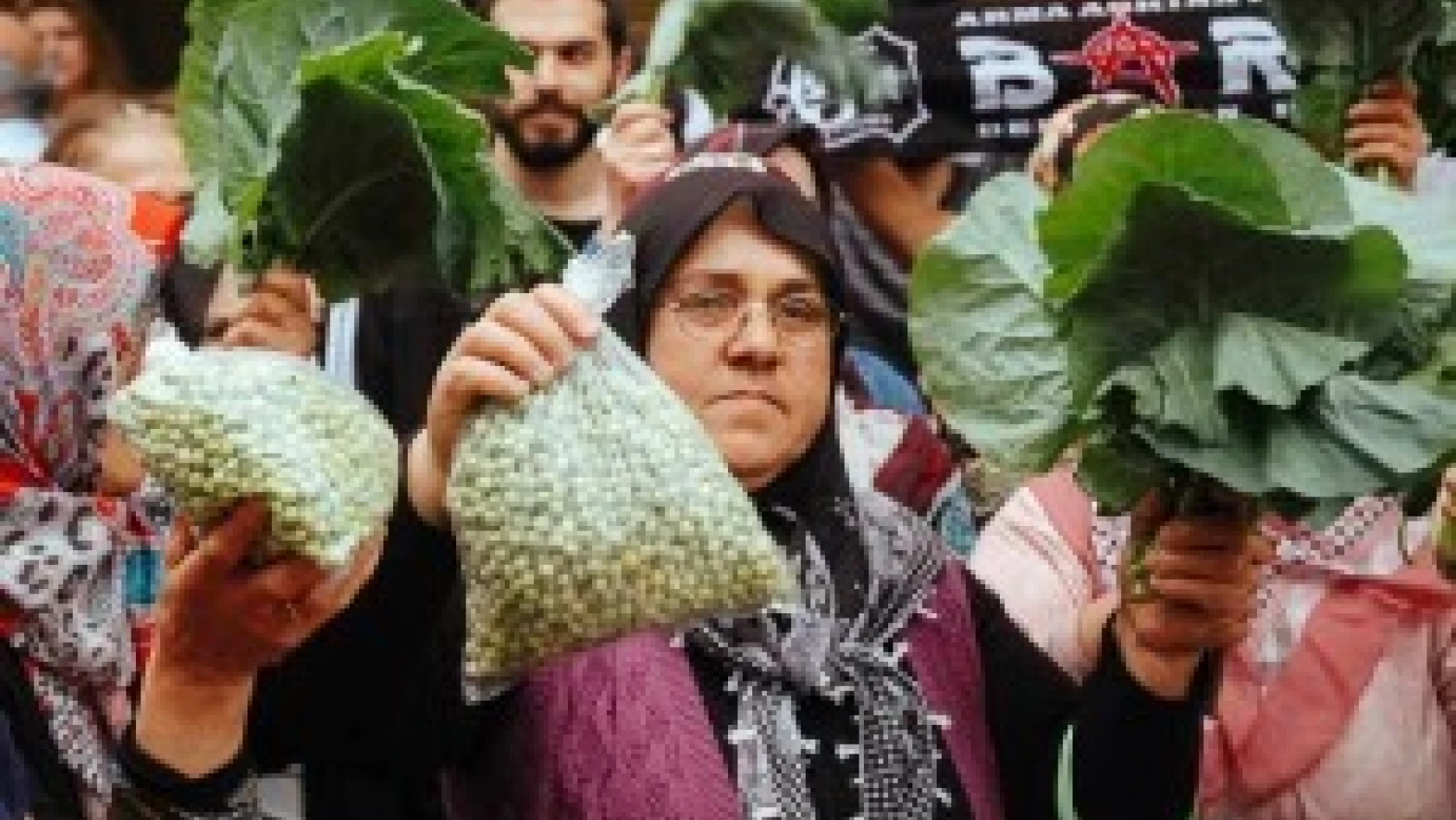 Santrale Çiftçi Kadınlardan Sebzeli Tepki