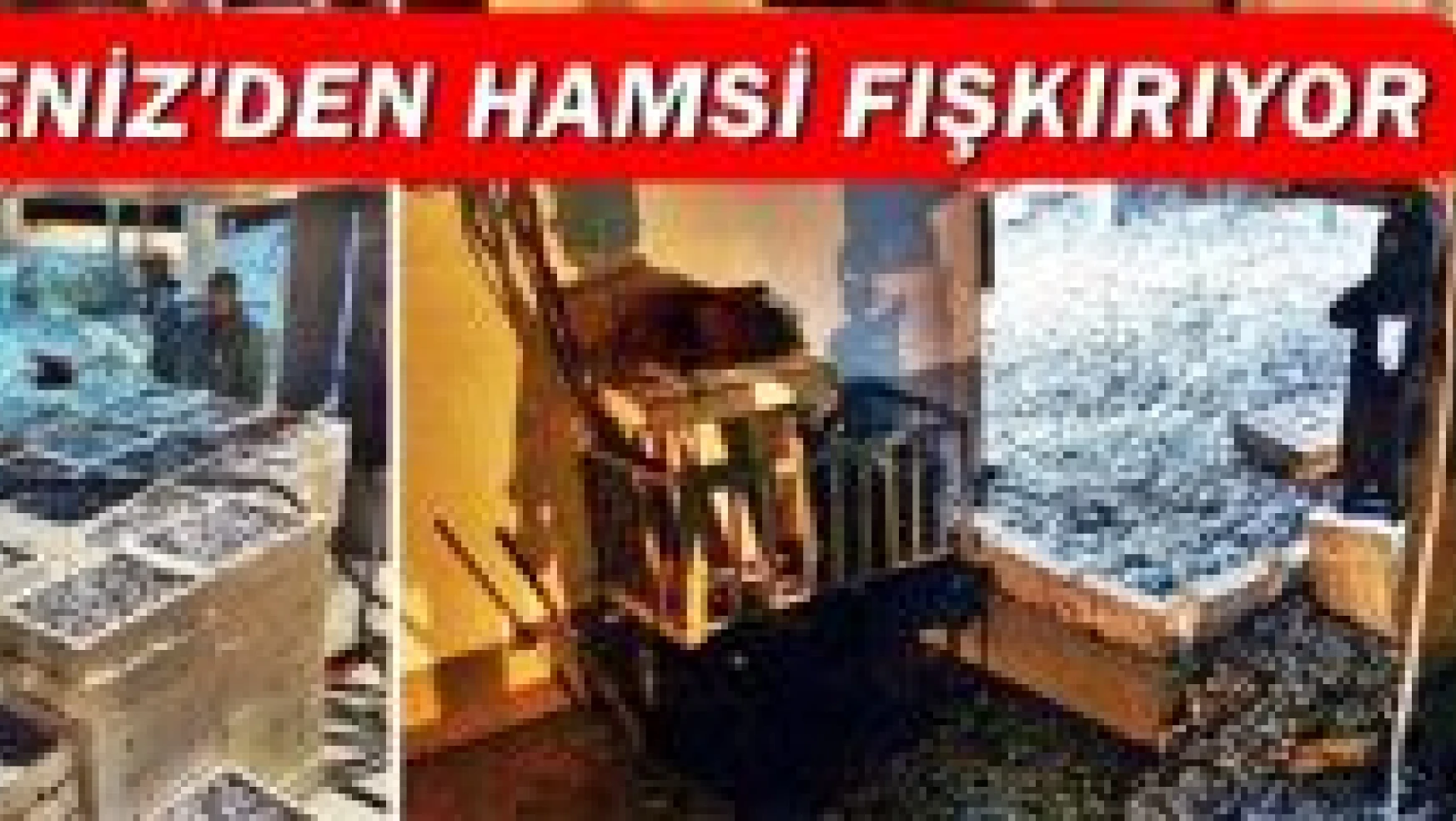 Balıkçılar Tonlarca Hamsi Yakaladı