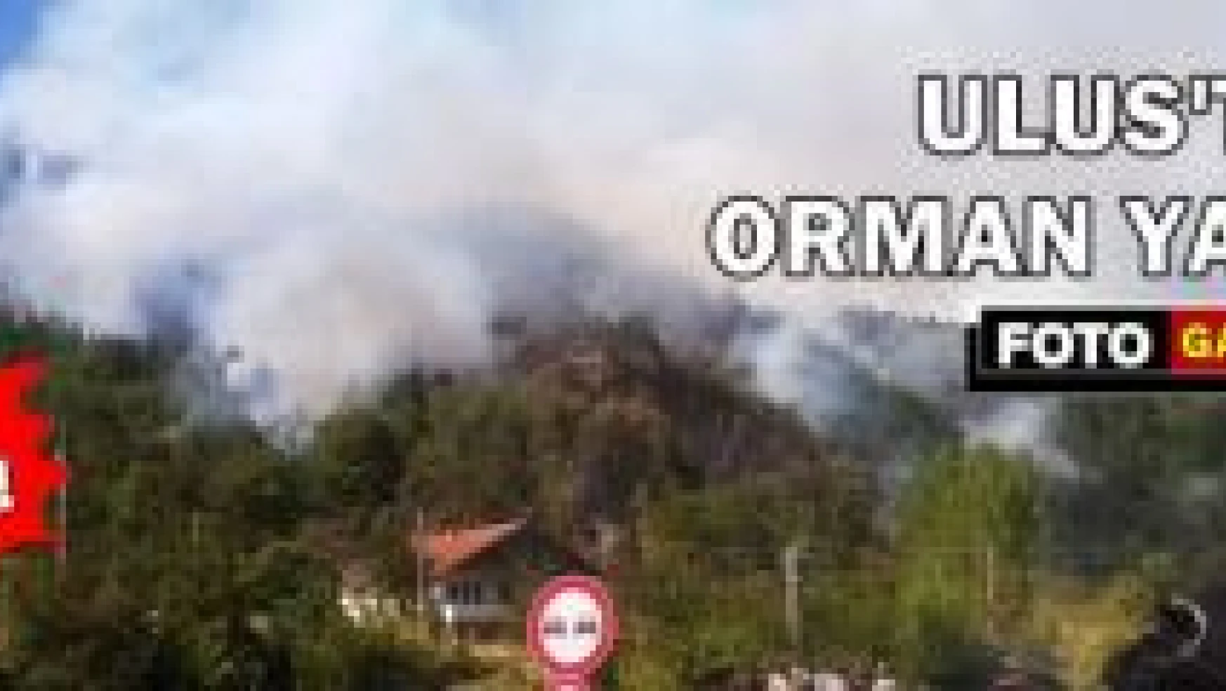 Bartın'da 2 köyde orman yangını çıktı