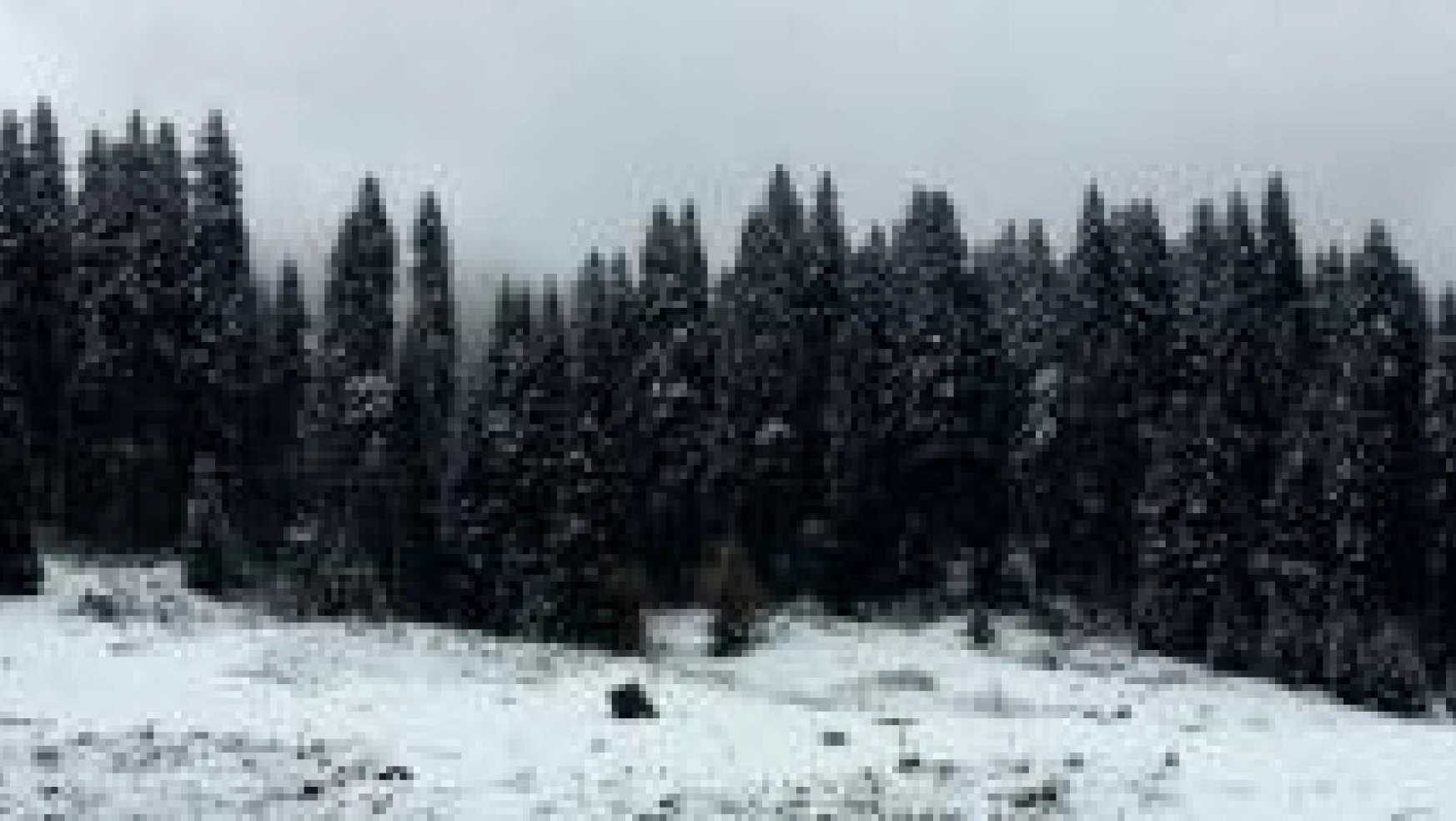 Bartın'da Yaylalara İlk Kar Yağdı
