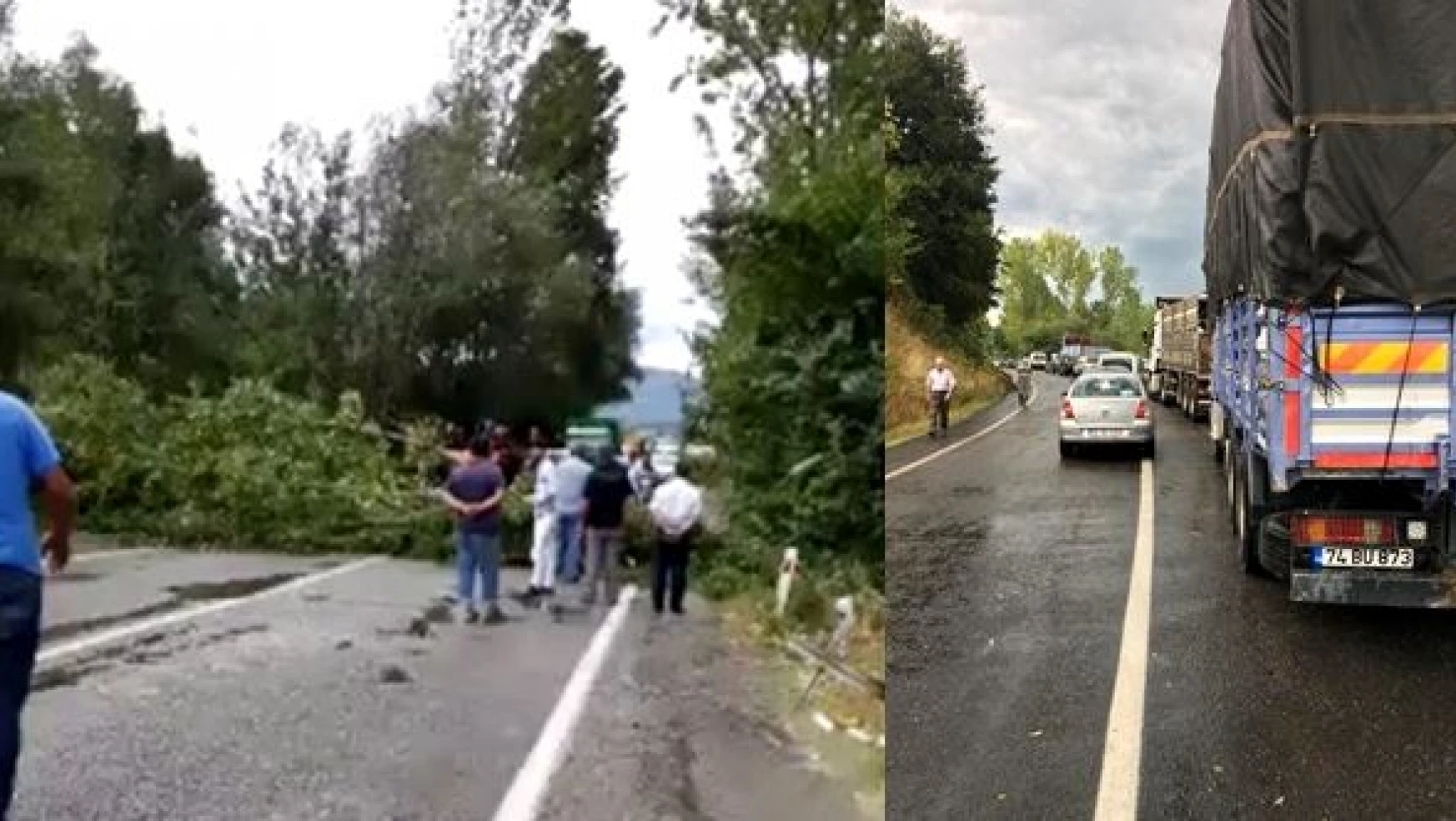Fırtınada ağaç devrildi, yol kapandı