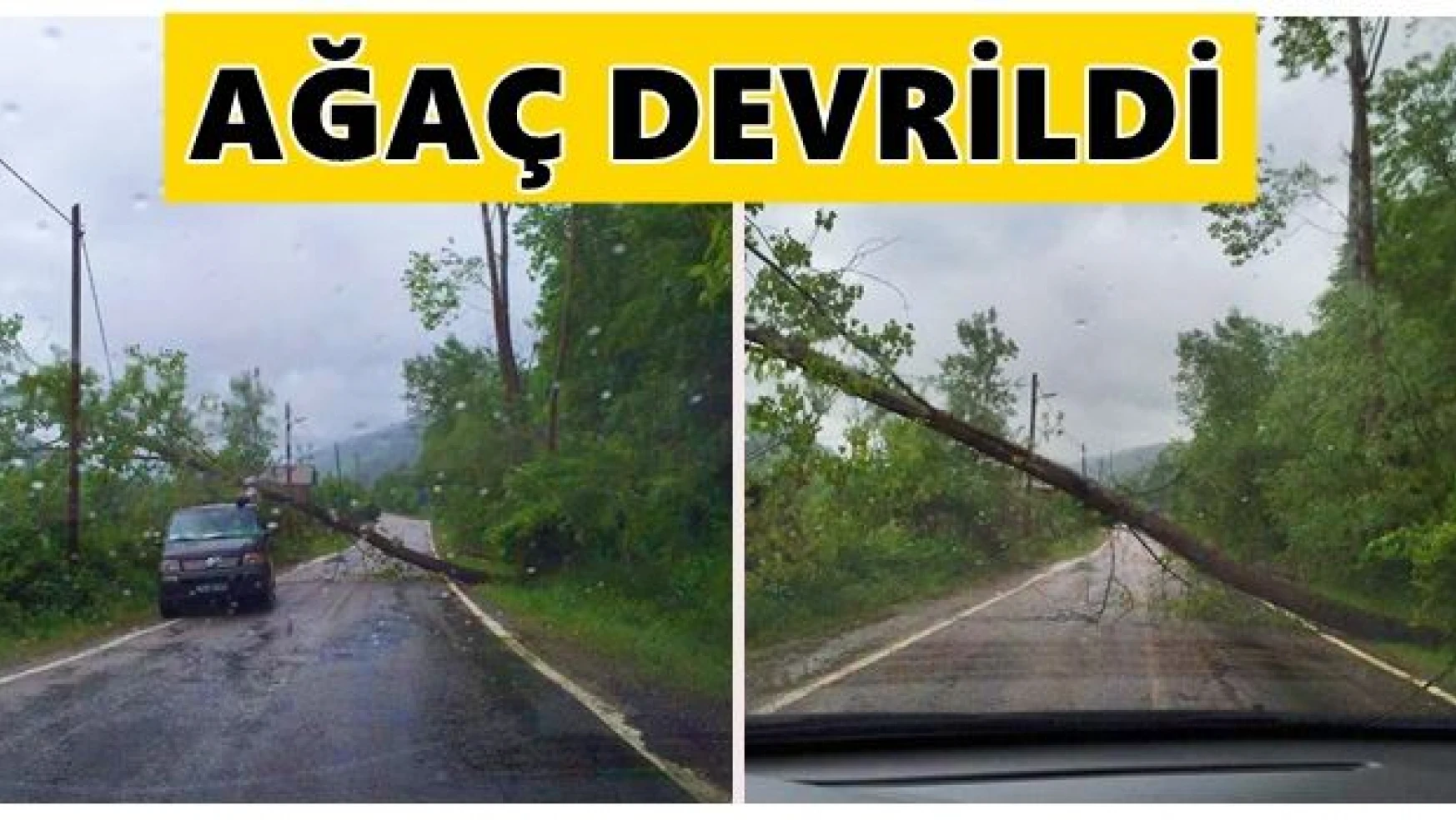 Fırtınada yola ağaç devrildi