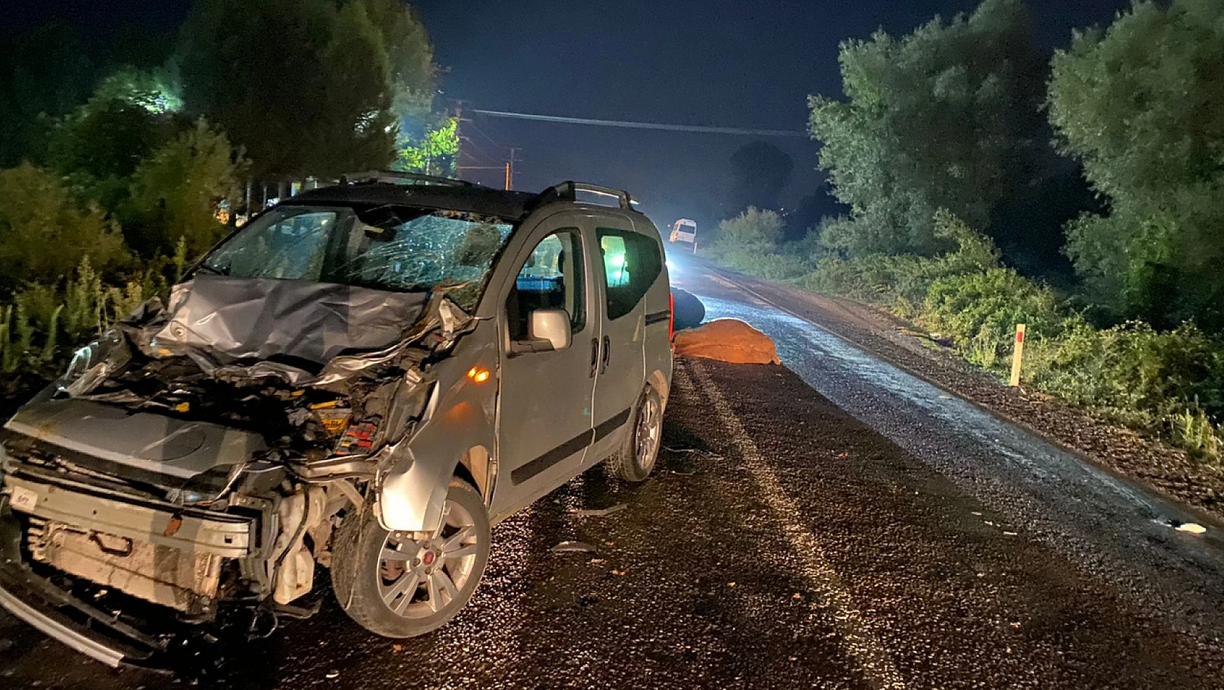 Üç hayvana birden çarptı