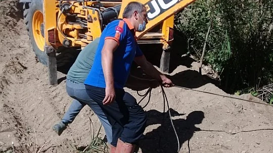 İkisi birden bataklığa saplandı