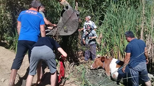 İkisi birden bataklığa saplandı